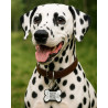 Medaglietta cane osso in silicone con QR code e incisione laser – piattaforma svizzera