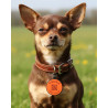 Personalized SOS Pet Tag – Round Shape in Orange Silicone with Laser Engraving