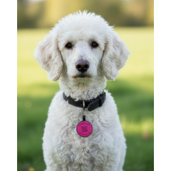 Personalized SOS Pet Tag – Round Shape in Purple Silicone with Laser Engraving