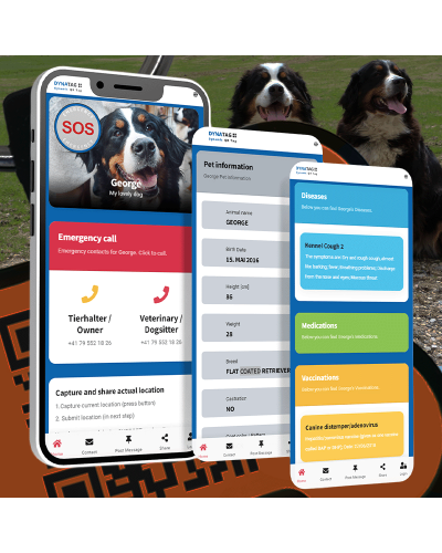 SOS Pet Tag "Round" Silicone Blue