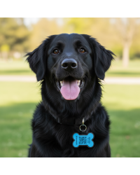 SOS Pet Tag "Bone" Silicone Blue