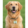 Médaille pour chien en silicone fluorescent en forme d’os avec code QR – plateforme de données suisse