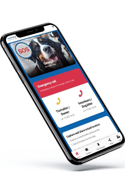 DynaTag WebApp for dog tag with QR code